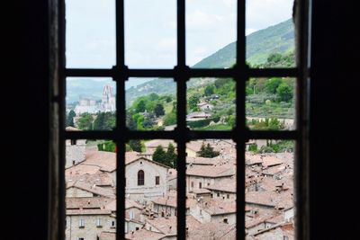 Trees seen through window of old building