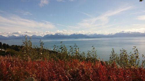 Scenic view of lake against cloudy sky