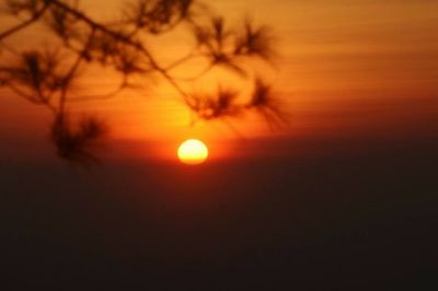 Silhouette tree against orange sky