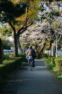 Rear view of man riding bicycle on road