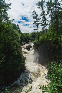 Arch bridge over river stream amidst trees in forest against sky