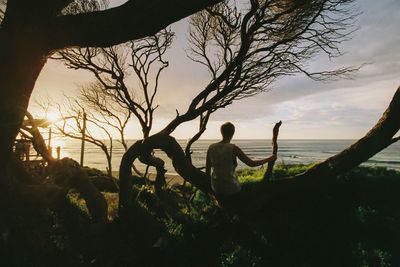 Rear view of woman sitting on bare tree against sea