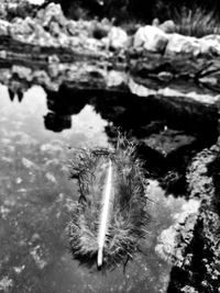 Close-up of reflection in sea