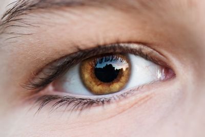 Extreme close-up of human eye