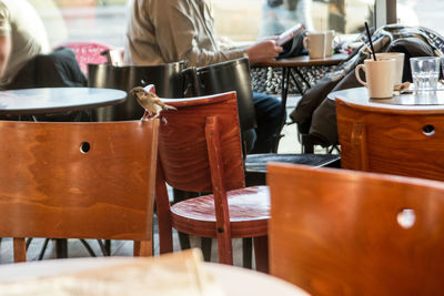 Close-up of sparrow perching on chair at restaurant