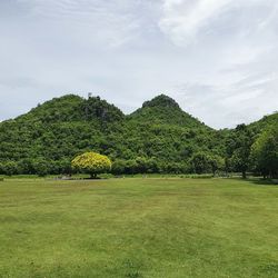 Scenic view of field against sky