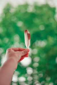 Cropped image of man holding feather against sky