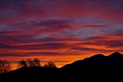 Silhouette trees against dramatic sky during sunset