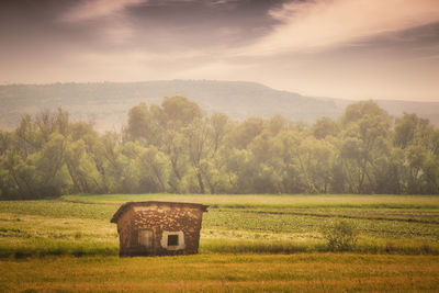 Scenic view of field against sky