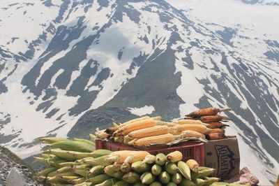 High angle view of fruits on snow covered mountain