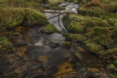 Stream flowing through rocks in forest