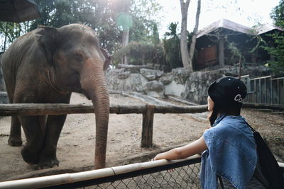 Woman looking at elephant in zoo