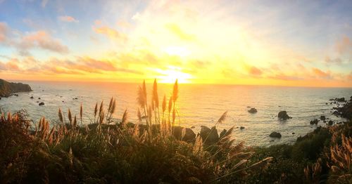 Scenic view of sea against sky during sunset