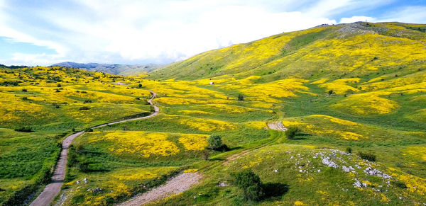 Scenic view of landscape against sky