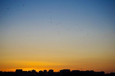 Silhouette of bird flying at sunset