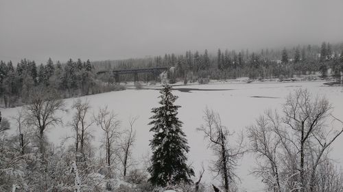 View of frozen lake in winter