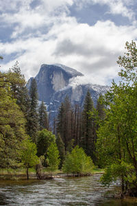 Scenic view of lake amidst trees against sky