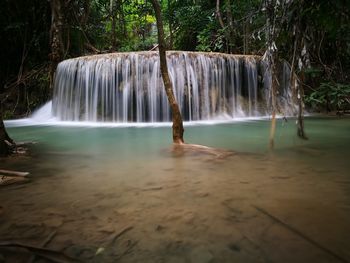 View of waterfall in forest