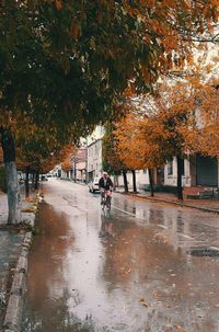 Man on wet road in city during autumn