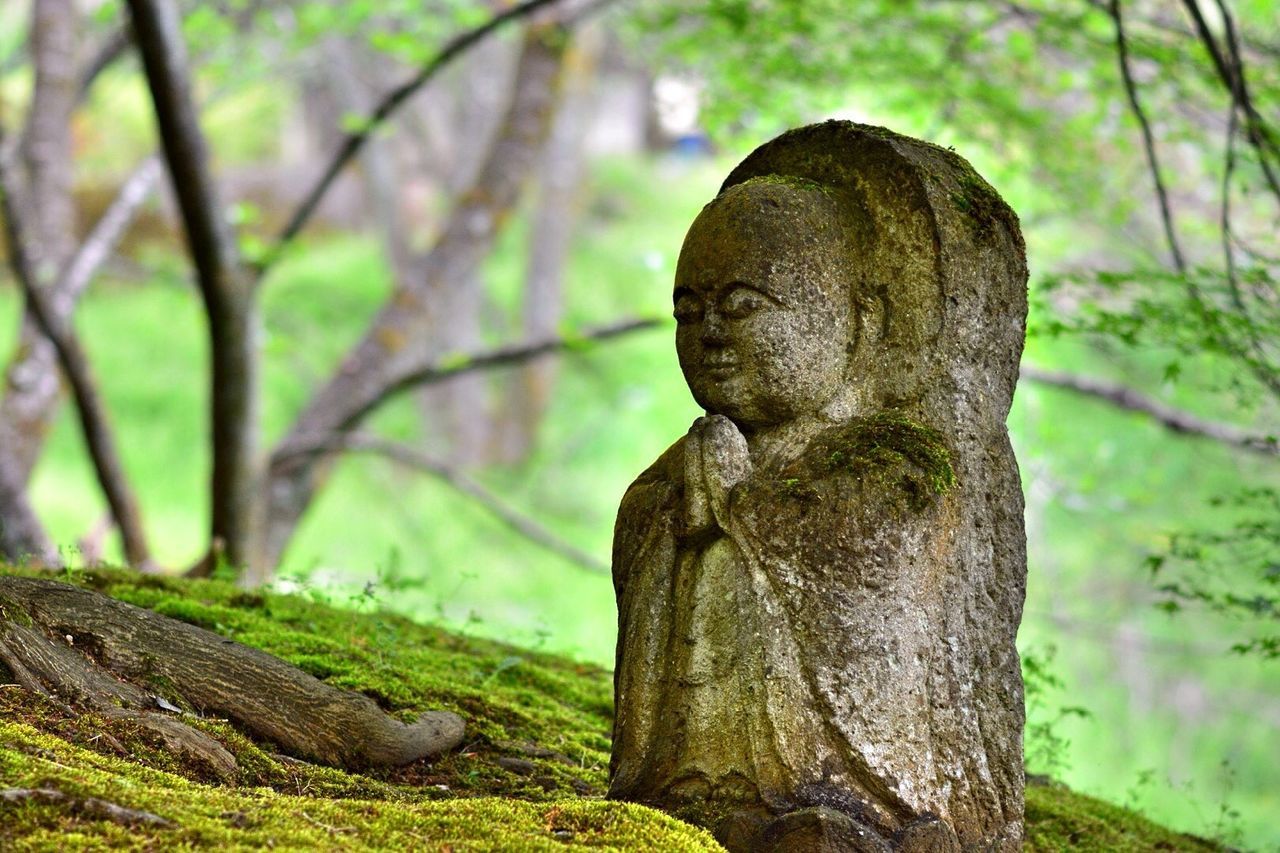 sculpture, human representation, focus on foreground, statue, tree, close-up, art and craft, tree trunk, art, rock - object, moss, creativity, nature, textured, growth, outdoors, day, green color, stone