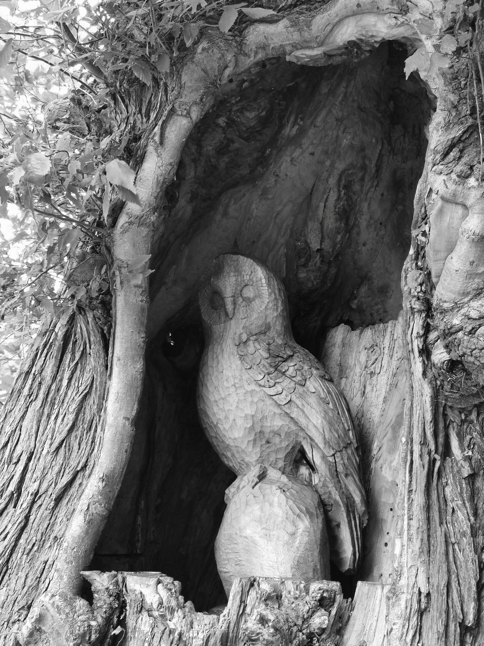tree, no people, tree trunk, sculpture, plant, trunk, black and white, nature, day, rock, monochrome photography, representation, statue, outdoors, monochrome, creativity, craft, human representation, root, branch