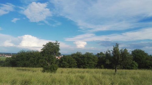 Scenic view of grassy field against cloudy sky
