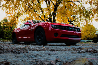 Red car parked on land