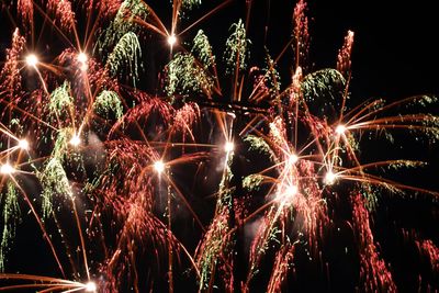 Low angle view of firework display at night