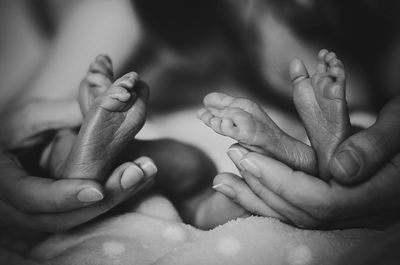 Close-up of baby holding hands