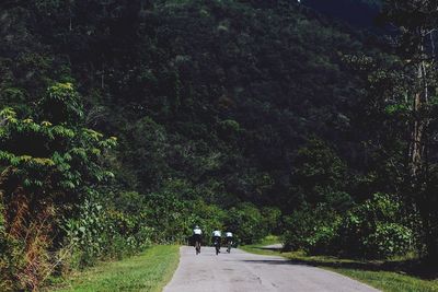 Rear view of people walking on road in forest