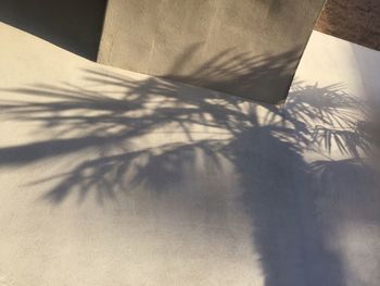 High angle view of palm tree shadow on wall