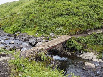 High angle view of stream amidst trees in forest