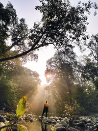 Rear view of woman standing in forest