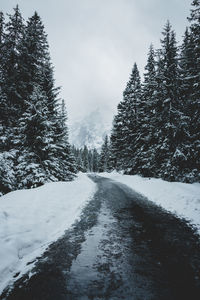 Snow covered street amidst trees against sky