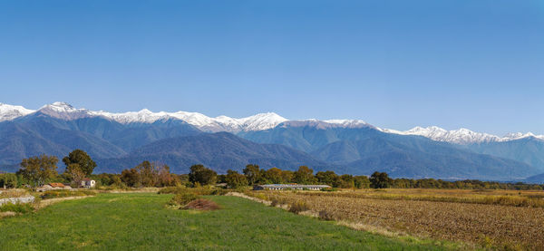 Scenic view of snowcapped mountains against clear blue sky