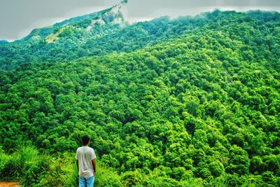 Rear view of man looking at waterfall