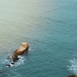 Scenic view of sea