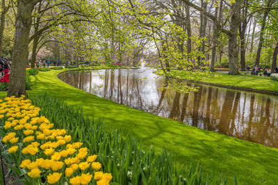 Scenic view of water flowing in park