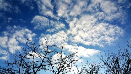 Low angle view of bare tree against sky