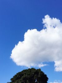 Low angle view of trees against cloudy sky