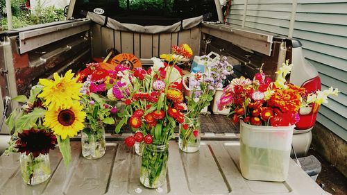 Close-up of flowers against potted plants