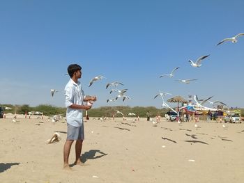 Low angle view of seagulls flying over beach against sky