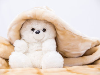 Close-up of stuffed toy over white background