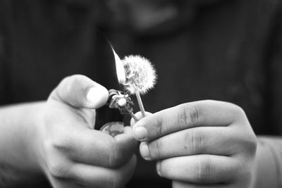 Midsection of person burning dandelion with cigarette lighter