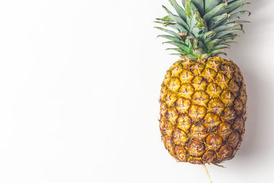 Close-up of fruit against white background