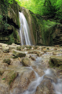 Scenic view of waterfall in forest