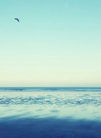 Bird flying over sea against clear sky