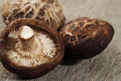 Fresh agaricus bisporus or portobello mushroom isolated on wooden background