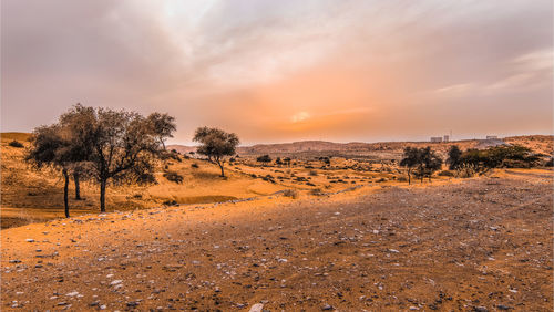 Scenic view of landscape against sky during sunset