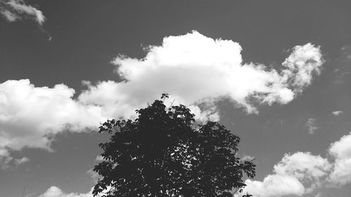 Low angle view of tree against cloudy sky